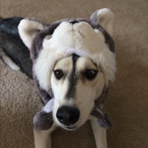 Meet your Posher, Dulce